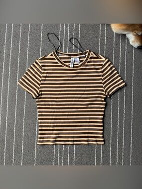 Divided Short Sleeve Striped Ribbed Tee in Mustard, Black & White